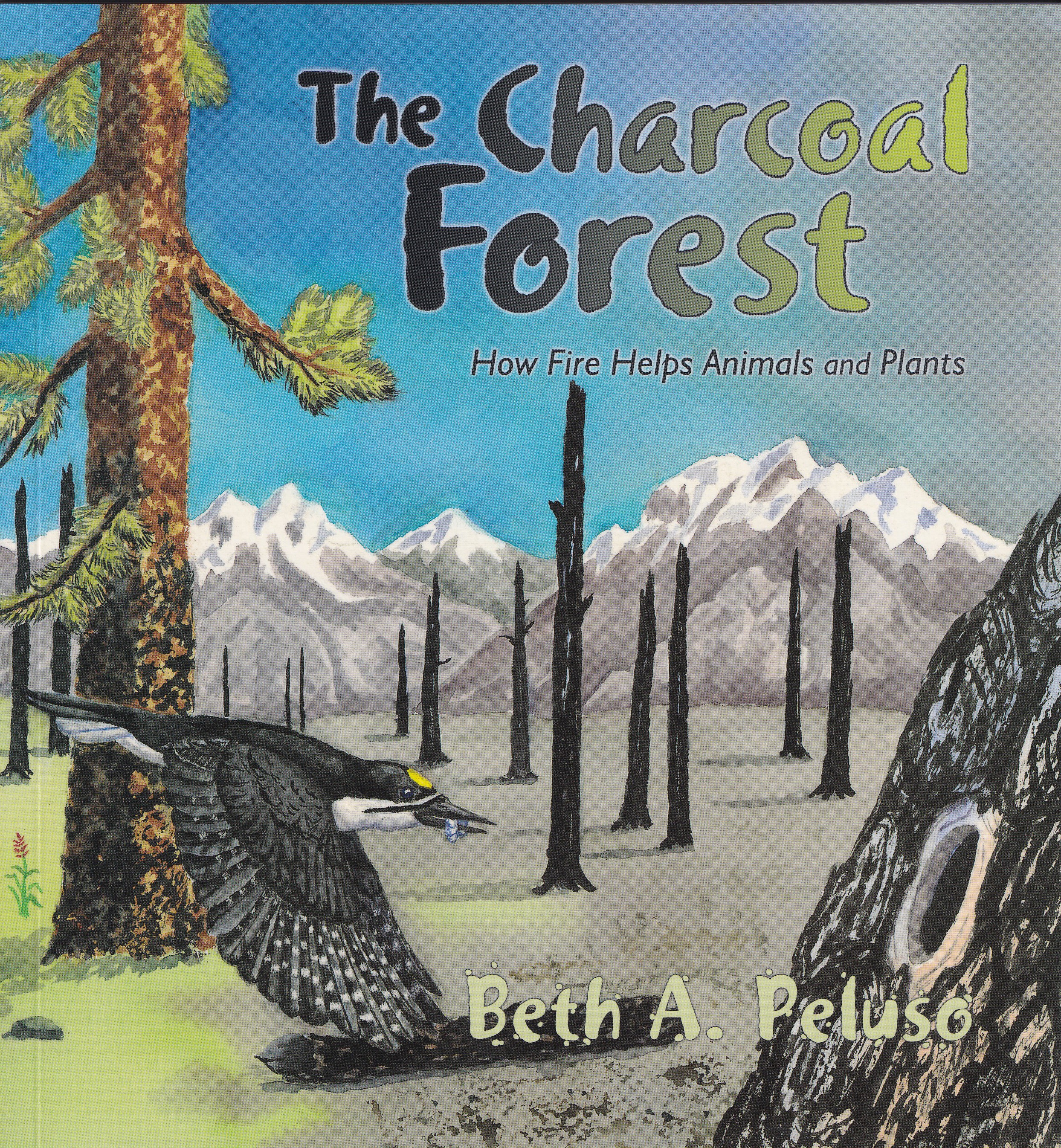 Children's book cover for The Charcoal Forest showing flying black-backed woodpecker and burned tree trunks.