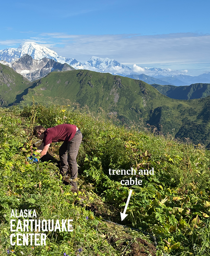 Man bending over to dig, with gray cable in trench in foreground. Snow-capped mountain in background.